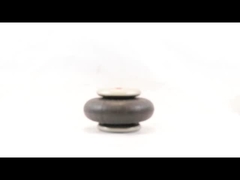 Firestone W01-358-7451 Endüstriyel Tek Kaplı Hava Bahçesi Stili 110 Hava Atışı