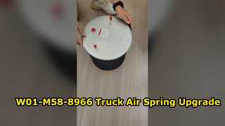 Kamyon Hava Yay Değişimi Firestone W01-M58-8966